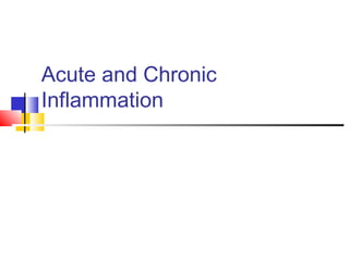 Acute and Chronic
Inflammation
 