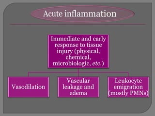 Immediate and early
response to tissue
injury (physical,
chemical,
microbiologic, etc.)
Vasodilation
Vascular
leakage and
edema
Leukocyte
emigration
(mostly PMNs)
 