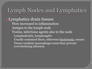 Lymphatics drain tissues
• Flow increased in inflammation
• Antigen to the lymph node
• Toxins, infectious agents also to the node
 Lymphadenitis, lymphangitis
 Usually contained there, otherwise bacteremia ensues
 Tissue-resident macrophages must then prevent
overwhelming infection
 