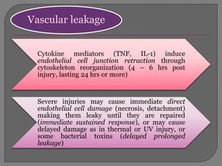 Vascular leakage
Cytokine mediators (TNF, IL-1) induce
endothelial cell junction retraction through
cytoskeleton reorganization (4 – 6 hrs post
injury, lasting 24 hrs or more)
Severe injuries may cause immediate direct
endothelial cell damage (necrosis, detachment)
making them leaky until they are repaired
(immediate sustained response), or may cause
delayed damage as in thermal or UV injury, or
some bacterial toxins (delayed prolonged
leakage)
 