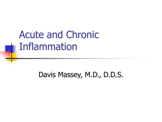 Acute and Chronic
Inflammation
Davis Massey, M.D., D.D.S.
 