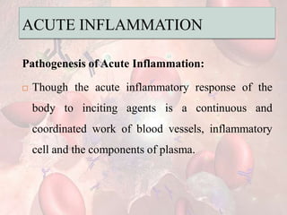 ACUTE INFLAMMATION
Pathogenesis of Acute Inflammation:
 Though the acute inflammatory response of the
body to inciting agents is a continuous and
coordinated work of blood vessels, inflammatory
cell and the components of plasma.
 