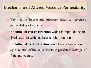 Mechanism of Altered Vascular Permeability
 The rise in hydrostatic pressure leads to increased
permeability of vessels.
 Endothelial cell contraction which is rapid and short-
lived result in widened intercellular junctions.
 Endothelial cell retraction due to reorganization of
cytoskeleton of the cells results in persistent leakage of
fluid and edema.
 