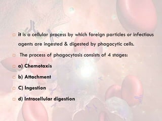  it is a cellular process by which foreign particles or infectious
agents are ingested & digested by phagocytic cells.
 The process of phagocytosis consists of 4 stages:
 a) Chemotaxis
 b) Attachment
 C) Ingestion
 d) Intracellular digestion
 