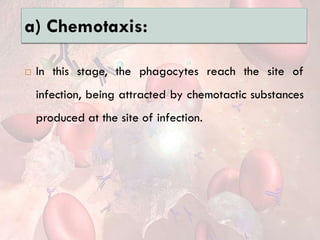 a) Chemotaxis:
 In this stage, the phagocytes reach the site of
infection, being attracted by chemotactic substances
produced at the site of infection.
 