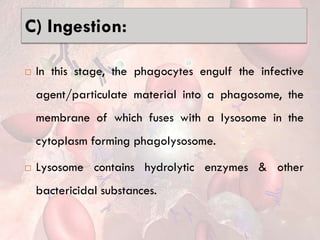 C) Ingestion:
 In this stage, the phagocytes engulf the infective
agent/particulate material into a phagosome, the
membrane of which fuses with a lysosome in the
cytoplasm forming phagolysosome.
 Lysosome contains hydrolytic enzymes & other
bactericidal substances.
 