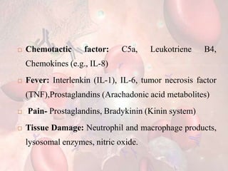  Chemotactic factor: C5a, Leukotriene B4,
Chemokines (e.g., IL-8)
 Fever: Interlenkin (IL-1), IL-6, tumor necrosis factor
(TNF),Prostaglandins (Arachadonic acid metabolites)
 Pain- Prostaglandins, Bradykinin (Kinin system)
 Tissue Damage: Neutrophil and macrophage products,
lysosomal enzymes, nitric oxide.
 
