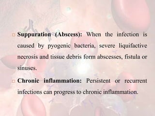  Suppuration (Abscess): When the infection is
caused by pyogenic bacteria, severe liquifactive
necrosis and tissue debris form abscesses, fistula or
sinuses.
 Chronic inflammation: Persistent or recurrent
infections can progress to chronic inflammation.
 