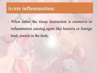 Acute inflammation:
 When either the tissue destruction is extensive or
inflammation causing agent like bacteria or foreign
body persist in the body.
 