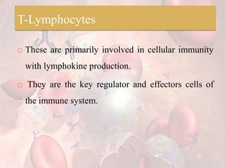 T-Lymphocytes
 These are primarily involved in cellular immunity
with lymphokine production.
 They are the key regulator and effectors cells of
the immune system.
 