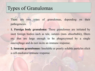 Types of Granulomas
 There are two types of granulomas, depending on their
pathogenesis.
 1. Foreign body granuloma: These granulomas are initiated by
inert foreign bodies such as talc, sutures (non- absorbable), fibers
etc. that are large enough to be phagocytosed by a single
macrophage and do not incite an immune response.
 2. Immune granulomas: Insoluble or poorly soluble particles elicit
a cell-mediated immune response.
 