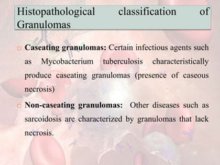 Histopathological classification of
Granulomas
 Caseating granulomas: Certain infectious agents such
as Mycobacterium tuberculosis characteristically
produce caseating granulomas (presence of caseous
necrosis)
 Non-caseating granulomas: Other diseases such as
sarcoidosis are characterized by granulomas that lack
necrosis.
 
