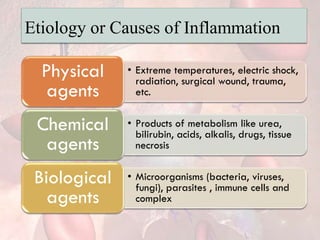Etiology or Causes of Inflammation
• Extreme temperatures, electric shock,
radiation, surgical wound, trauma,
etc.
Physical
agents
• Products of metabolism like urea,
bilirubin, acids, alkalis, drugs, tissue
necrosis
Chemical
agents
• Microorganisms (bacteria, viruses,
fungi), parasites , immune cells and
complex
Biological
agents
 