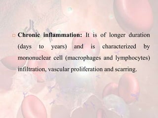  Chronic inflammation: It is of longer duration
(days to years) and is characterized by
mononuclear cell (macrophages and lymphocytes)
infiltration, vascular proliferation and scarring.
 