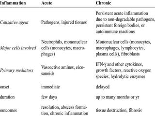 ACUTE AND CHRONIC INFLAMMATION - MANJU.pptx