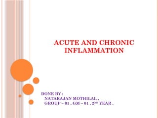 Comprehensive Overview of Acute and Chronic Inflammation Mechanisms and ...