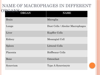 Comprehensive Overview of Acute and Chronic Inflammation Mechanisms and ...