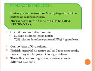 Comprehensive Overview of Acute and Chronic Inflammation Mechanisms and ...