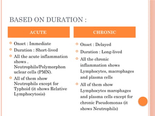 Comprehensive Overview of Acute and Chronic Inflammation Mechanisms and ...
