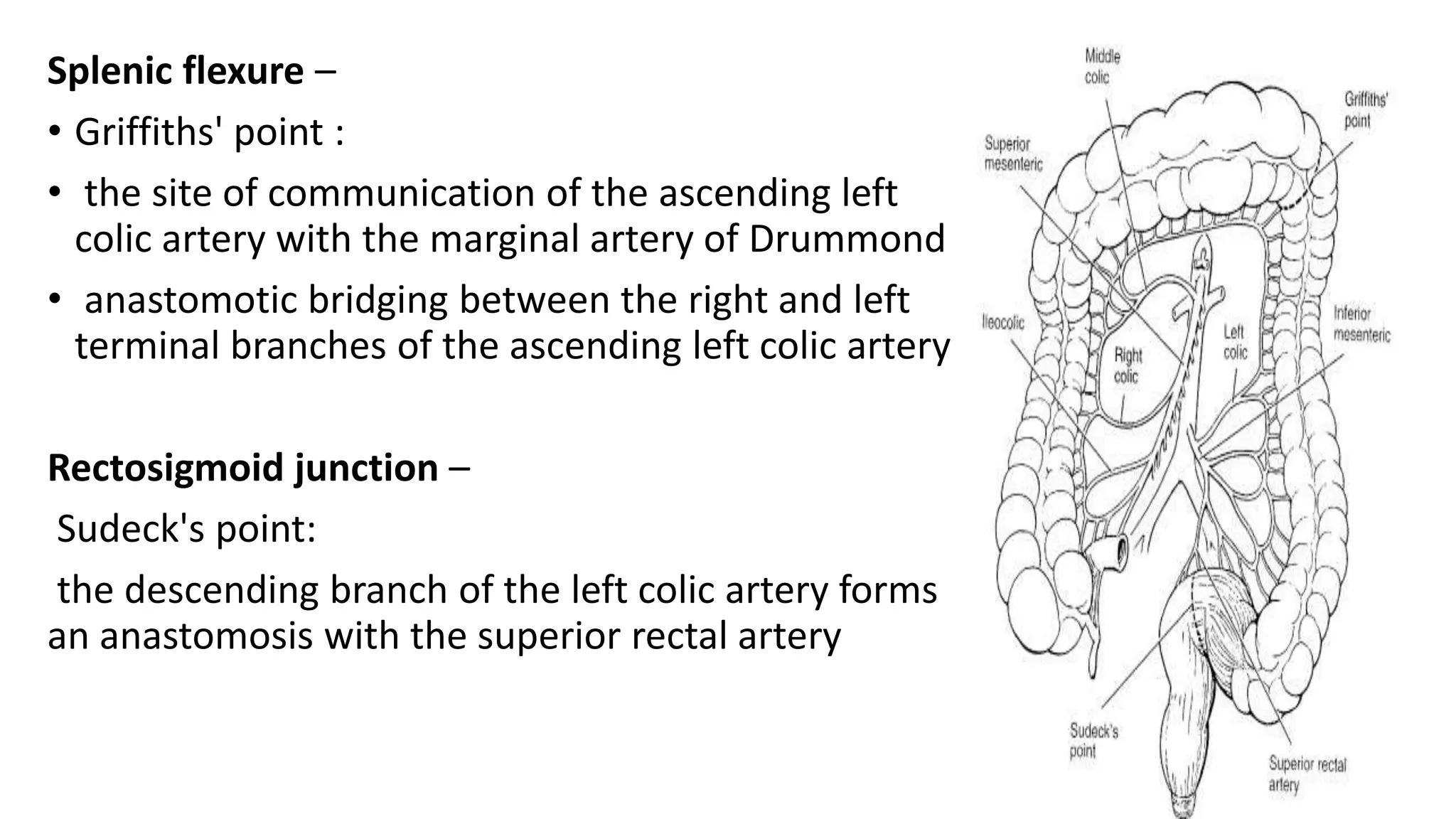 Acute and chronic mesenteric ischaemia(1).pptx