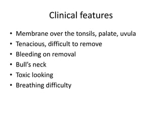 Clinical features
• Membrane over the tonsils, palate, uvula
• Tenacious, difficult to remove
• Bleeding on removal
• Bull’s neck
• Toxic looking
• Breathing difficulty
 