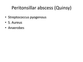 Peritonsillar abscess (Quinsy)
• Streptococcus pyogenous
• S. Aureus
• Anaerobes
 
