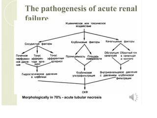 Acute and chronic renal failure hvhbhbubub | PDF