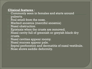 Clinical features :
 Commonly seen in females and starts around
  puberty.
 Foul smell from the nose.
 Marked anosmia (merciful anosmia)
 Nasal obstruction
 Epistaxis when the crusts are removed.
 Nasal cavity full of greenish or greyish black dry
  crusts.
 Nasal cavities appear roomy.
 Nasal mucosa appear pale.
 Septal perforation and dermatitis of nasal vestibule.
 Nose shows saddle deformity.
 