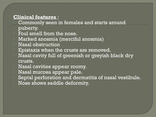 Clinical features :
 Commonly seen in females and starts around
puberty.
 Foul smell from the nose.
 Marked anosmia (merciful anosmia)
 Nasal obstruction
 Epistaxis when the crusts are removed.
 Nasal cavity full of greenish or greyish black dry
crusts.
 Nasal cavities appear roomy.
 Nasal mucosa appear pale.
 Septal perforation and dermatitis of nasal vestibule.
 Nose shows saddle deformity.
 