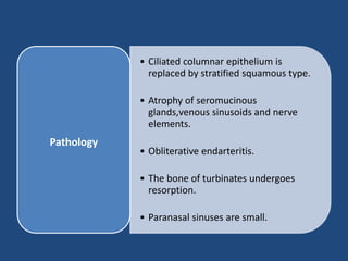 • Ciliated columnar epithelium is
replaced by stratified squamous type.
• Atrophy of seromucinous
glands,venous sinusoids and nerve
elements.
• Obliterative endarteritis.
• The bone of turbinates undergoes
resorption.
• Paranasal sinuses are small.
Pathology
 