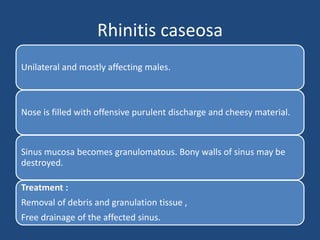 Rhinitis caseosa
Unilateral and mostly affecting males.
Nose is filled with offensive purulent discharge and cheesy material.
Sinus mucosa becomes granulomatous. Bony walls of sinus may be
destroyed.
Treatment :
Removal of debris and granulation tissue ,
Free drainage of the affected sinus.
 