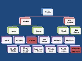 Rhinitis
infective
Acute
Viral bacterial
chronic
Specific
Non
specific
Atrophic
rhinitis
Simple
chronic
rhinitis
Hypertroph
ic rhinitis
Rhinitis
sicca
Rhinitis
caseosa
Wegener’s
Sarcoidosis
Non
infective
Allergic
Seasonal Perennial
Non
allergic
 
