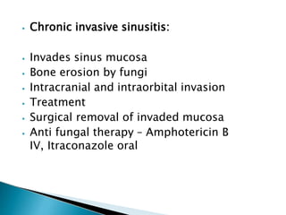 ⦁ Chronic invasive sinusitis:
⦁ Invades sinus mucosa
⦁ Bone erosion by fungi
⦁ Intracranial and intraorbital invasion
⦁ Treatment
⦁ Surgical removal of invaded mucosa
⦁ Anti fungal therapy – Amphotericin B
IV, Itraconazole oral
 