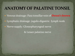  Venous drainage: Para tonsillar vein of Denni’s brown
 Lymphatic drainage: jugulo-digastric lymph node
 Nerve supply: Glossopharyngeal nerve
& Lesser palatine nerve
 