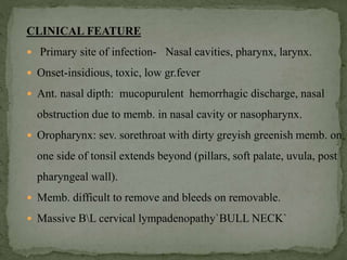 CLINICAL FEATURE
 Primary site of infection- Nasal cavities, pharynx, larynx.
 Onset-insidious, toxic, low gr.fever
 Ant. nasal dipth: mucopurulent hemorrhagic discharge, nasal
obstruction due to memb. in nasal cavity or nasopharynx.
 Oropharynx: sev. sorethroat with dirty greyish greenish memb. on
one side of tonsil extends beyond (pillars, soft palate, uvula, post
pharyngeal wall).
 Memb. difficult to remove and bleeds on removable.
 Massive BL cervical lympadenopathy`BULL NECK`
 