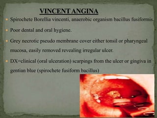  Spirochete Borellia vincenti, anaerobic organism bacillus fusiformis.
 Poor dental and oral hygiene.
 Grey necrotic pseudo membrane cover either tonsil or pharyngeal
mucosa, easily removed revealing irregular ulcer.
 DX=clinical (oral ulceration) scarpings from the ulcer or gingiva in
gentian blue (spirochete fusiform bacillus)
 