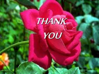 THANK
YOU
 