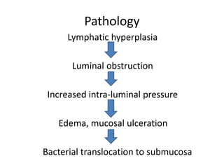 Pathology
Lymphatic hyperplasia
Luminal obstruction
Increased intra-luminal pressure
Edema, mucosal ulceration
Bacterial translocation to submucosa
 