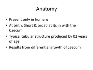 Anatomy
• Present only in humans
• At birth: Short & broad at its jn with the
Caecum
• Typical tubular structure produced by 02 years
of age
• Results from differential growth of caecum
 