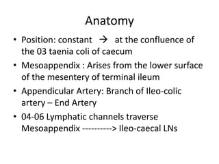 Anatomy
• Position: constant  at the confluence of
the 03 taenia coli of caecum
• Mesoappendix : Arises from the lower surface
of the mesentery of terminal ileum
• Appendicular Artery: Branch of Ileo-colic
artery – End Artery
• 04-06 Lymphatic channels traverse
Mesoappendix ----------> Ileo-caecal LNs
 
