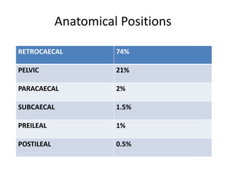 Anatomical Positions
RETROCAECAL 74%
PELVIC 21%
PARACAECAL 2%
SUBCAECAL 1.5%
PREILEAL 1%
POSTILEAL 0.5%
 