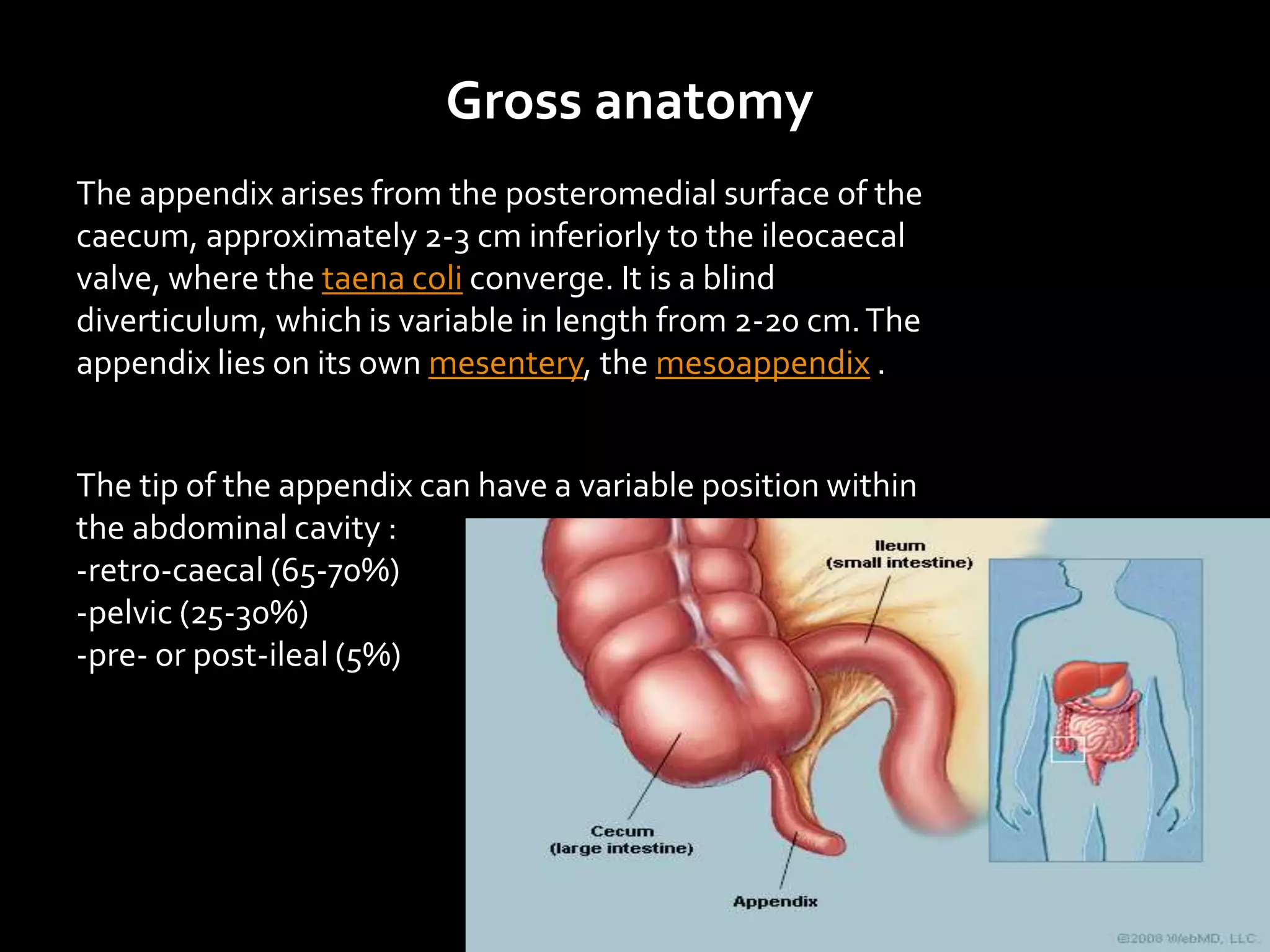 Imaging of Acute Appendicitis | PPTX