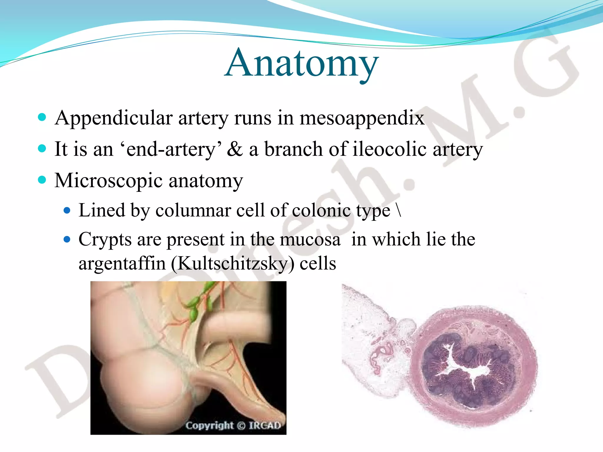 Acute appendicitis | PDF | Digestive Disorders | Diseases and Conditions
