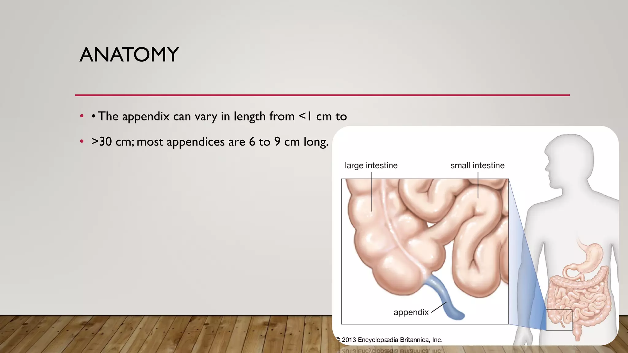 Acute appendicitis | PDF