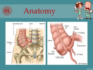 Acute appendicitis in adults - Hoang Cuong HMU | PDF
