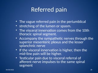 Comprehensive Overview of Acute Appendicitis: Anatomy, Pathology, and ...