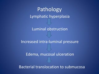 Pathology
Lymphatic hyperplasia
Luminal obstruction
Increased intra-luminal pressure
Edema, mucosal ulceration
Bacterial translocation to submucosa
 