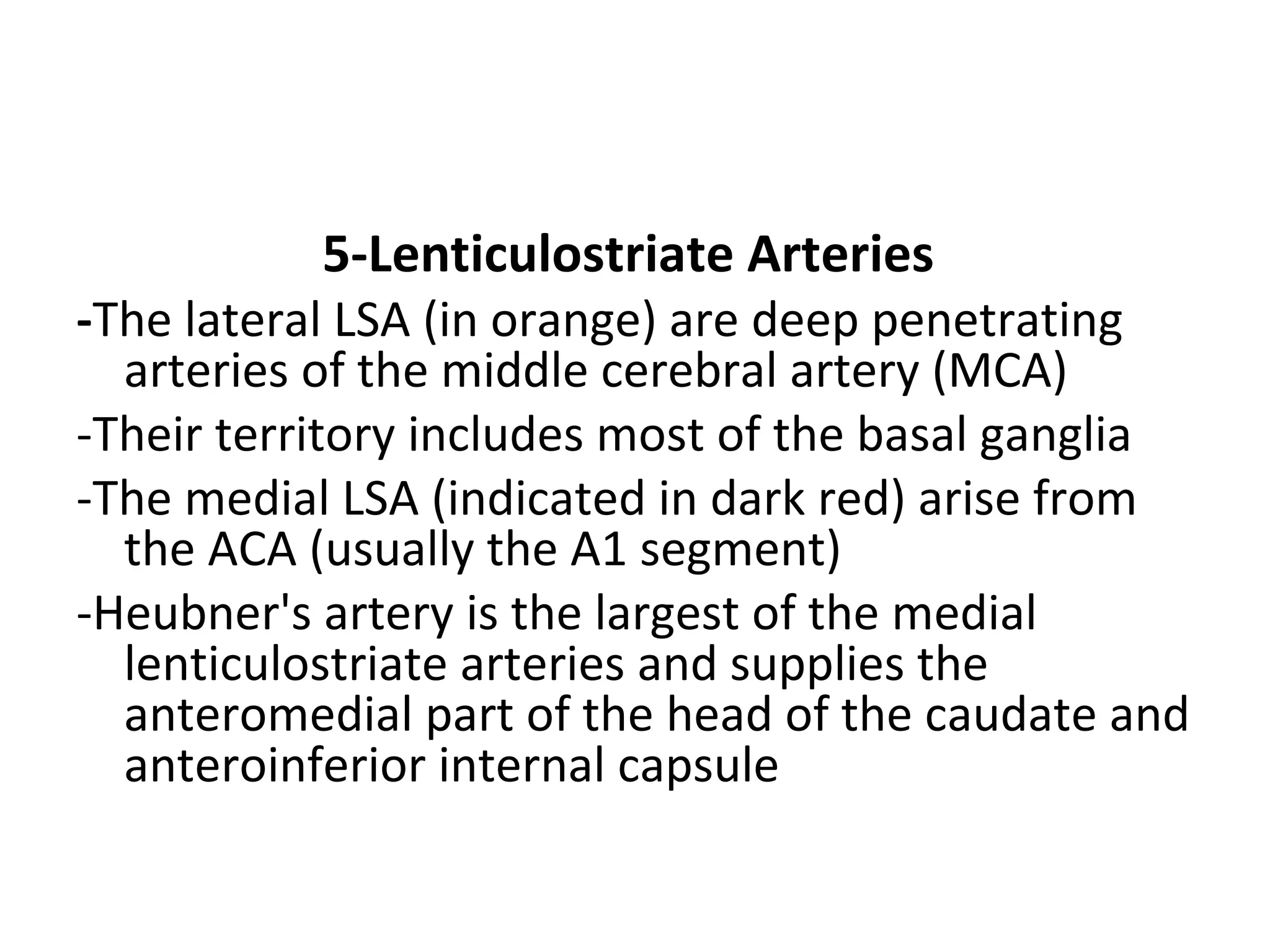 5-Lenticulostriate Arteries
-The lateral LSA (in orange) are deep penetrating
arteries of the middle cerebral artery (MCA)
-Their territory includes most of the basal ganglia
-The medial LSA (indicated in dark red) arise from
the ACA (usually the A1 segment)
-Heubner's artery is the largest of the medial
lenticulostriate arteries and supplies the
anteromedial part of the head of the caudate and
anteroinferior internal capsule
 