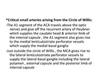 *Critical small arteries arising from the Circle of Willis:
-The A1 segment of the ACA travels above the optic
nerves and give off the recurrent artery of Heubner
which supplies the caudate head & anterior limb of
the internal capsule , the A1 segment also gives rise
to the medial lenticulostriate perforator vessels
which supply the medial basal ganglia
-Just outside the circle of Willis , the MCA gives rise to
the lateral lenticulostriate perforator vessels to
supply the lateral basal ganglia including the lateral
putamen , external capsule and the posterior limb of
internal capsule
 