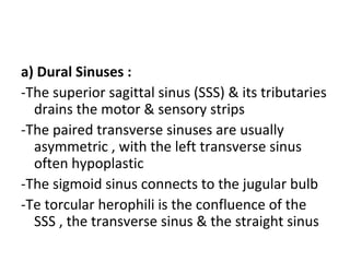 a) Dural Sinuses :
-The superior sagittal sinus (SSS) & its tributaries
drains the motor & sensory strips
-The paired transverse sinuses are usually
asymmetric , with the left transverse sinus
often hypoplastic
-The sigmoid sinus connects to the jugular bulb
-Te torcular herophili is the confluence of the
SSS , the transverse sinus & the straight sinus
 